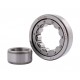 NU305 [CX] Cylindrical roller bearing