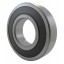 6317 2RS [CX] Deep groove sealed ball bearing