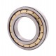 Cylindrical roller bearing NJ221 [CX]