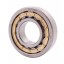 NU309 EM [CX] Cylindrical roller bearing