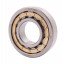 NU309 EM [CX] Cylindrical roller bearing