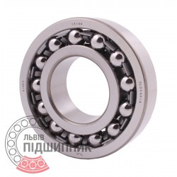 1310K [Kinex] Double row self-aligning ball bearing