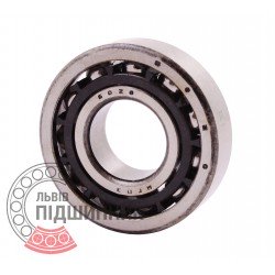 6020 E1 (E20) [GPZ] Angular contact ball bearing