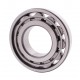 N319 J DIN 5412-1 [BBC-R Latvia] Cylindrical roller bearing