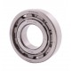 NF310 J/P6 DIN 5412-1 [BBC-R Latvia] Cylindrical roller bearing