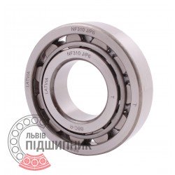 NF310 J/P6 DIN 5412-1 [BBC-R Latvia] Cylindrical roller bearing