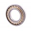 N230 M/P6 [BBC-R Latvia] Cylindrical roller bearing