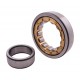 NU320 M/P6 DIN 5412-1 [BBC-R Latvia] Cylindrical roller bearing