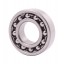 1205 [NTE] Double row self-aligning ball bearing