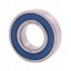 6004 2RS [NTE] Deep groove sealed ball bearing