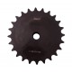 Sprocket Z24 [SKF] for 12B-2 Duplex roller chain, pitch - 19.05mm, with hub for bore fitting