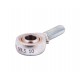 GALS 10 [Fluro] Rod end with radial spherical plain bearing