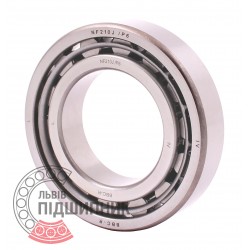 NF210 J/P6 DIN 5412-1 [BBC-R Latvia] Cylindrical roller bearing