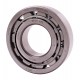 NF311 J/P6 DIN 5412-1 [BBC-R Latvia] Cylindrical roller bearing