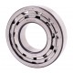 NF315 J/P6 DIN 5412-1 [BBC-R Latvia] Cylindrical roller bearing