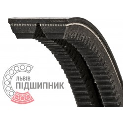 AVX13-2425 [Continental] V-belt