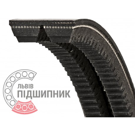 AVX13-1925 [Continental] Automotive V-belt kit