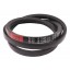 B-1545 | B59 [Bando] Classic V-Belt B1545 Lw/17x11-1500Li