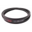 C-3009 | C116 [Bando] Classic V-Belt C3009 Lw/22x14-2950Li