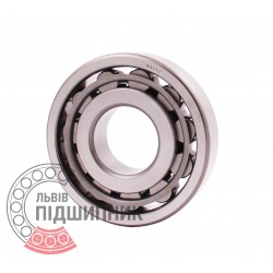 N411J [NTE] Cylindrical roller bearing