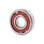 7305 ACP/P6 [BBC-R Latvia] - 46305 - Single row angular contact ball bearing