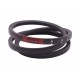 A-834 | A31.5 [Bando] Classic V-Belt A834 Lw/12.7x8-800Li