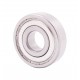 6302.H.ZZ [EZO] Deep groove ball bearing - stainless steel