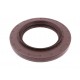 85х140х13/17 B1BASLRD [Sampa] Oil seal | Gearbox shaft seal - DAF