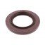 85х140х13/17 B1BASLRD [Sampa] Oil seal | Gearbox shaft seal - DAF