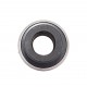 GE20KRRB | HC 204 Radial insert ball bearing, hexagonal bore