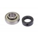 AEL206 [NTN] Radial insert ball bearing