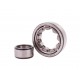 NU204 J/P6 [BBC-R Latvia] Cylindrical roller bearing