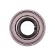 1680205 [NTE] Radial insert ball bearing