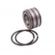 SL045008-PP-2NR | SL04-5008PP-2NR [INA] Double row cylindrical roller bearing