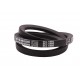 SPB-1250 Lw [Mitsuboshi] Narrow V-Belt (Fan Belt) / SPB1250 Ld