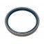 110x130x13 B1SL | 12011364B [Corteco] Oil seal