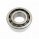 12613 KM | NF2313 [SPZ, Samara] Cylindrical roller bearing