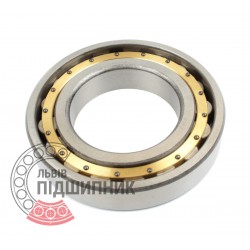 N220 M [China] Cylindrical roller bearing