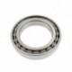 12115Е | NF1015 [SPZ, Samara] Cylindrical roller bearing
