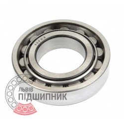 Cylindrical roller bearing N210 [GPZ-10]