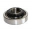 1208K + H208 [HARP] Self-aligning ball bearing