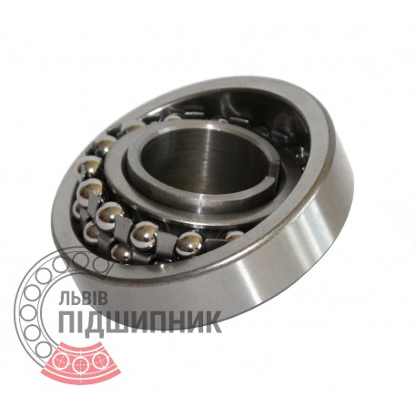 Self-aligning ball bearing 1219K+H219 [GPZ]