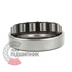 Cylindrical roller bearing NF210
