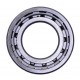Cylindrical roller bearing NJ205 [GPZ]