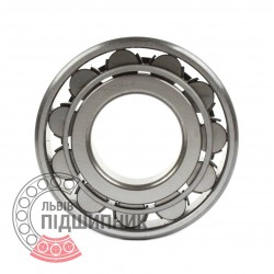 Cylindrical roller bearing N317 [GPZ-9]