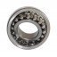 1207 [SPZ] Double row self-aligning ball bearing