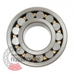 Spherical roller bearing 22224 [VPG]