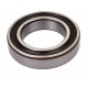 6009-2RS1 [SKF] Deep groove sealed ball bearing