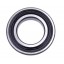 6006-2RS1 [NSK] Deep groove sealed ball bearing