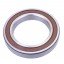 6021 2RS [CX] Deep groove sealed ball bearing